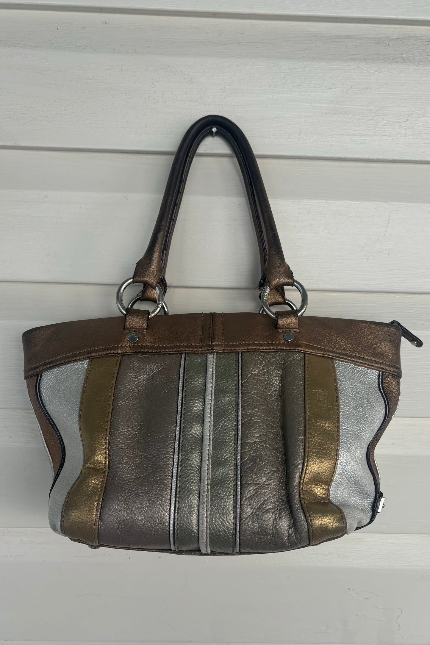 Tignanello Metallic Purse